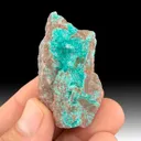 Ajoite from New Cornelia Mine, Ajo, Arizona, USA - image 1