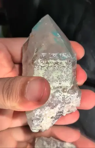 specimen video