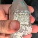 specimen video