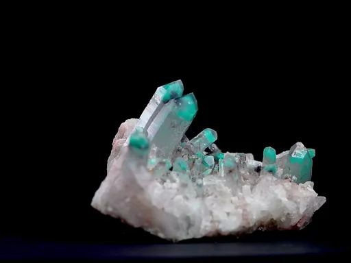 specimen video