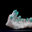 specimen video