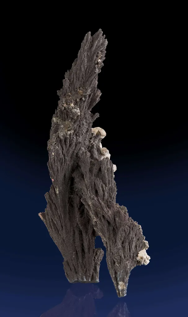Alabandite image