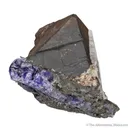 Alabandite on Tanzanite - image 3