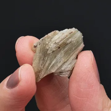 Alamosite