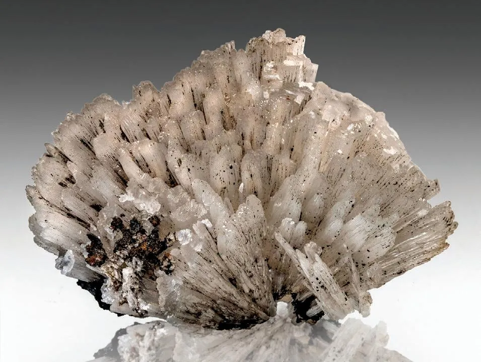 Alamosite, melanotekite - image 1