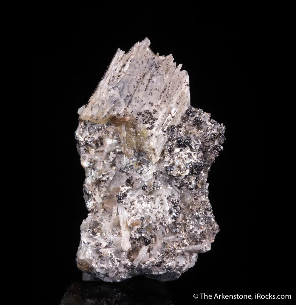 Alamosite with Kegelite (type locality) and Melanotekite - image 3