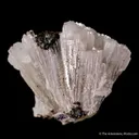 Alamosite with Melanotekite - image 1