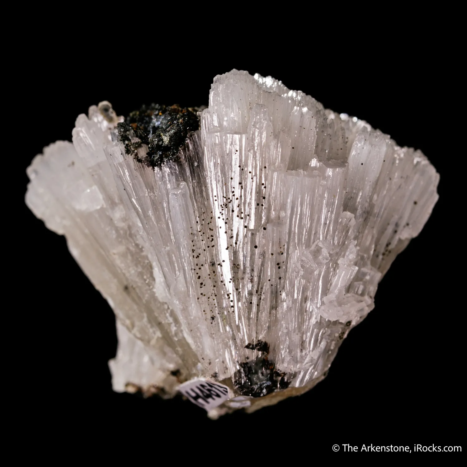 Alamosite with Melanotekite - image 1