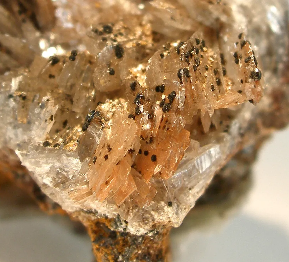 Alamosite With Melanotekite - image 2