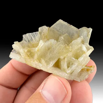 Albite