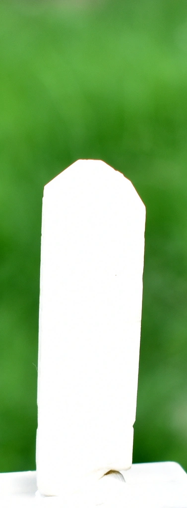 Albite from Alchuri, Shigar Valley, Shigar District, Gilgit-Baltistan, Pakistan - image 6