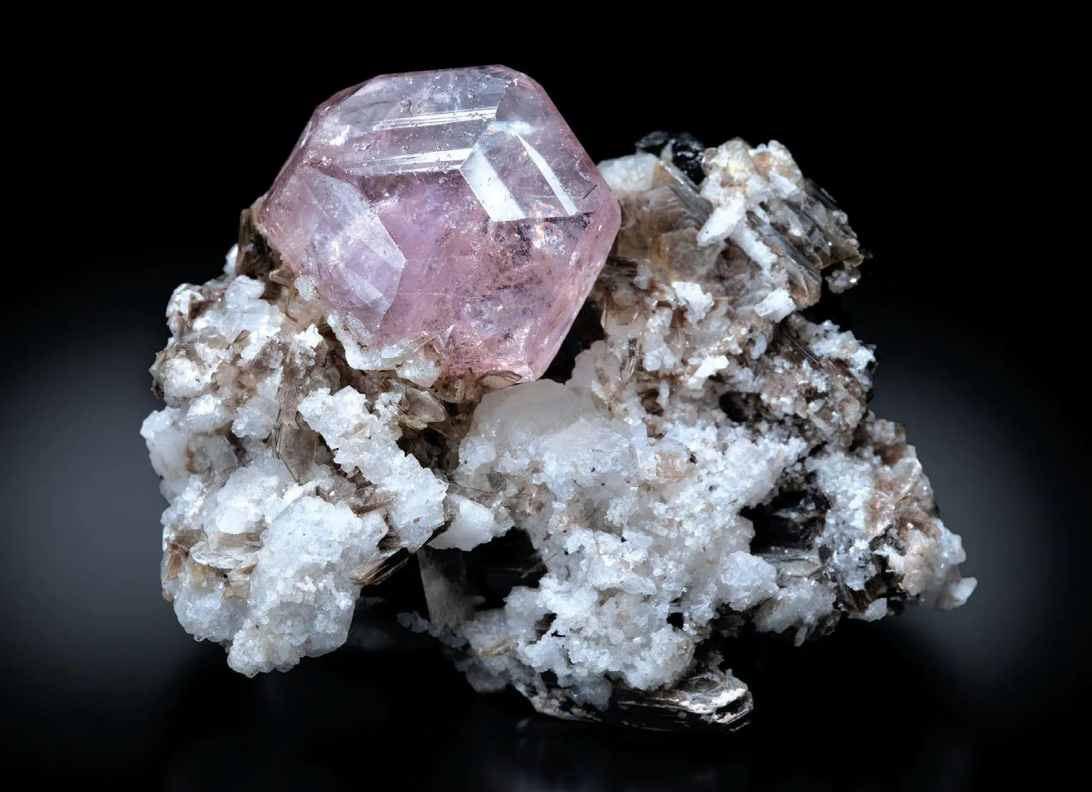 Albite, Muscovite, Fluorapatite - image 1