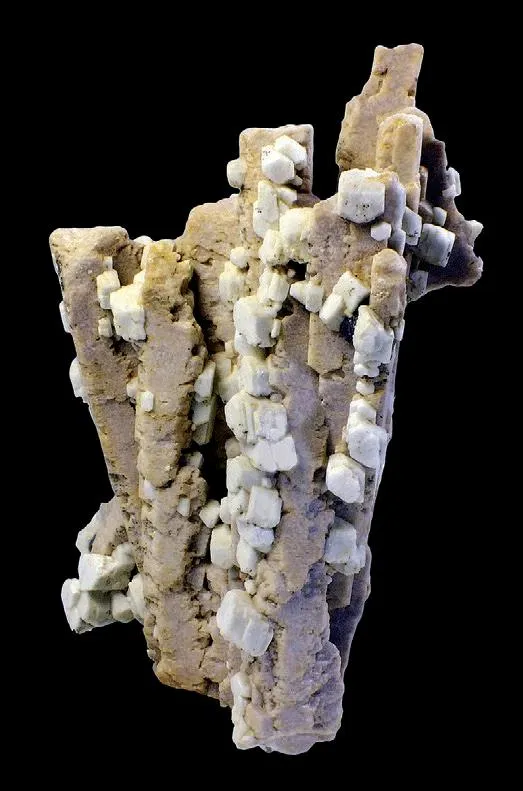 Albite, Orthoclase image