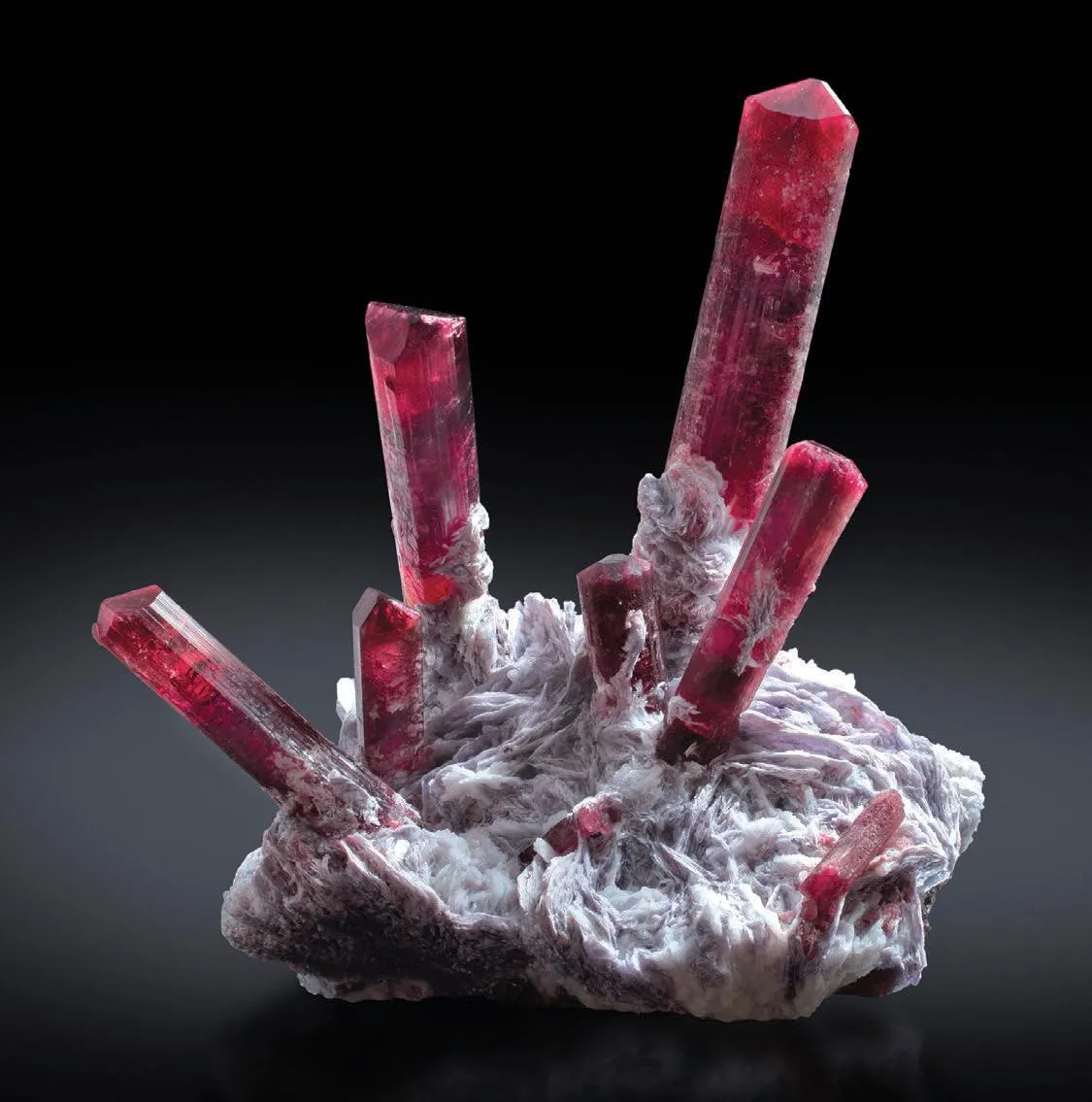 Albite, Tourmaline - image 1