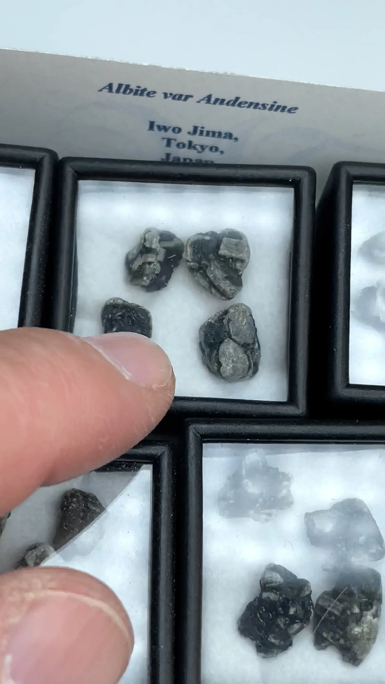 Albite var Andensine - image 2