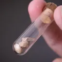 Albite var. Andesine in Phial - image 2