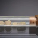 Albite var. Andesine in Phial - image 1