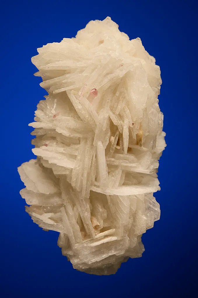 Albite var. Cleavelandite on Apatite - image 2