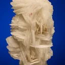 Albite var. Cleavelandite on Apatite - image 2