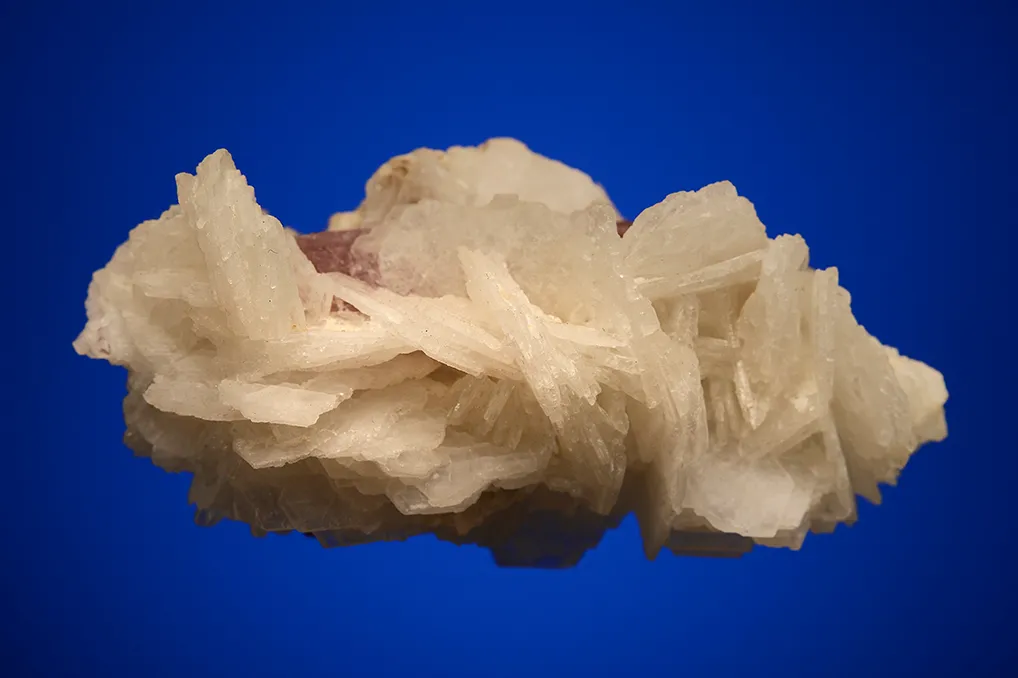 Albite var. Cleavelandite on Apatite - image 3