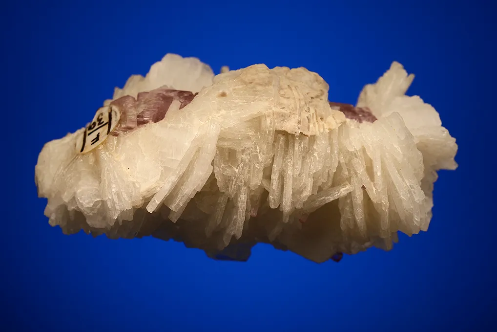 Albite var. Cleavelandite on Apatite - image 4