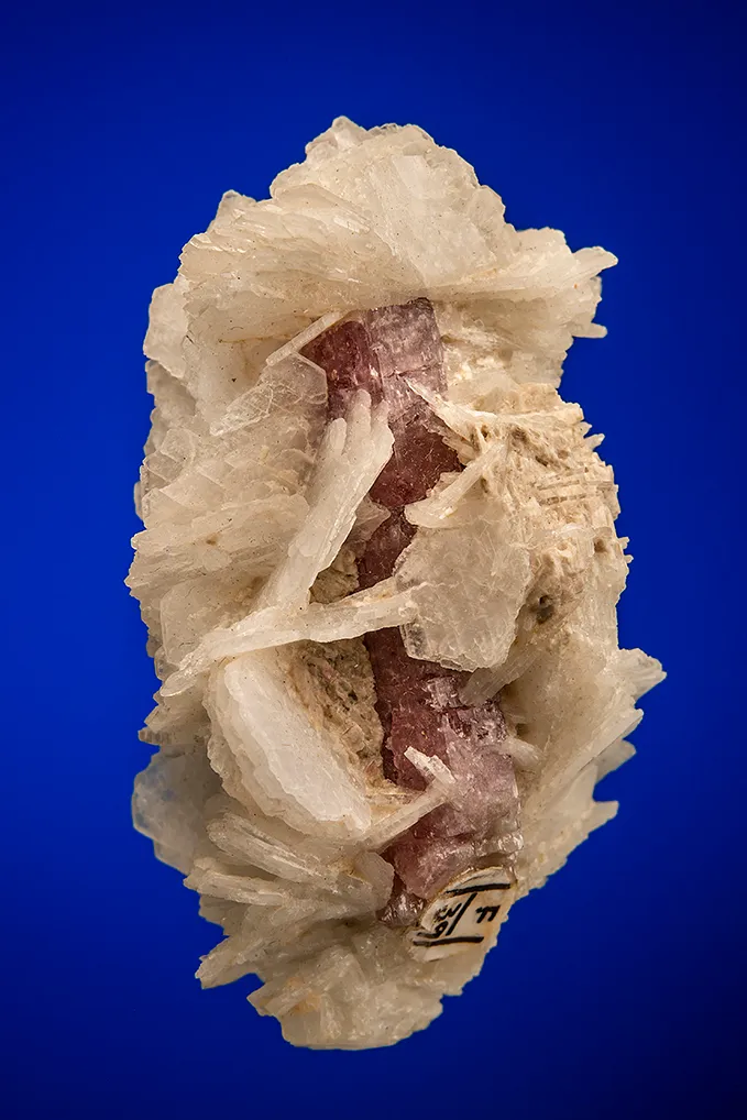 Albite var. Cleavelandite on Apatite image