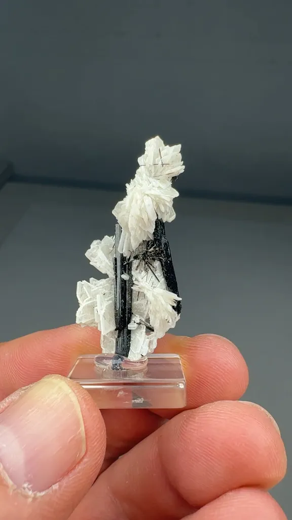 Albite with Aegirine, Arfvedsonite image
