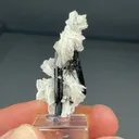 Albite with Aegirine, Arfvedsonite - image 1