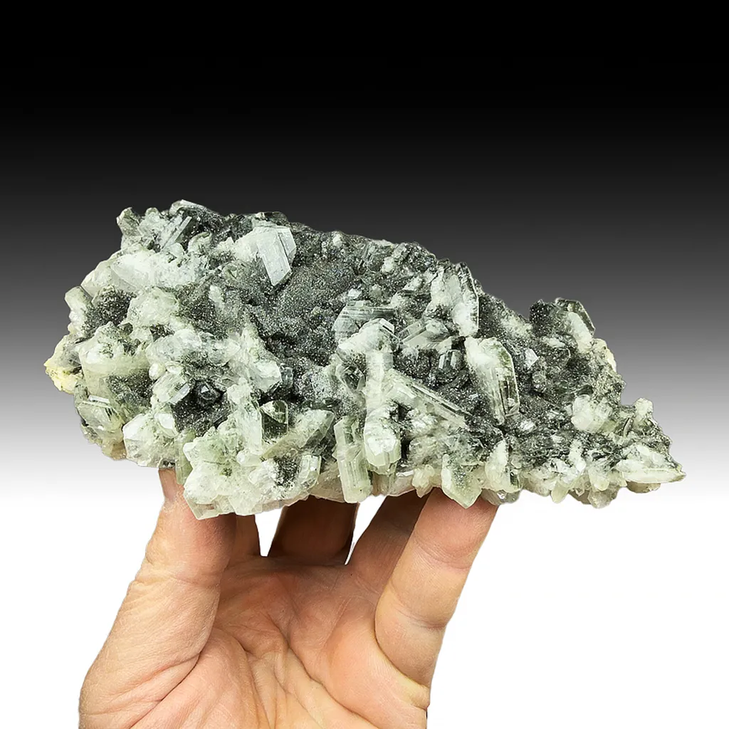 Albite with Chlorite image