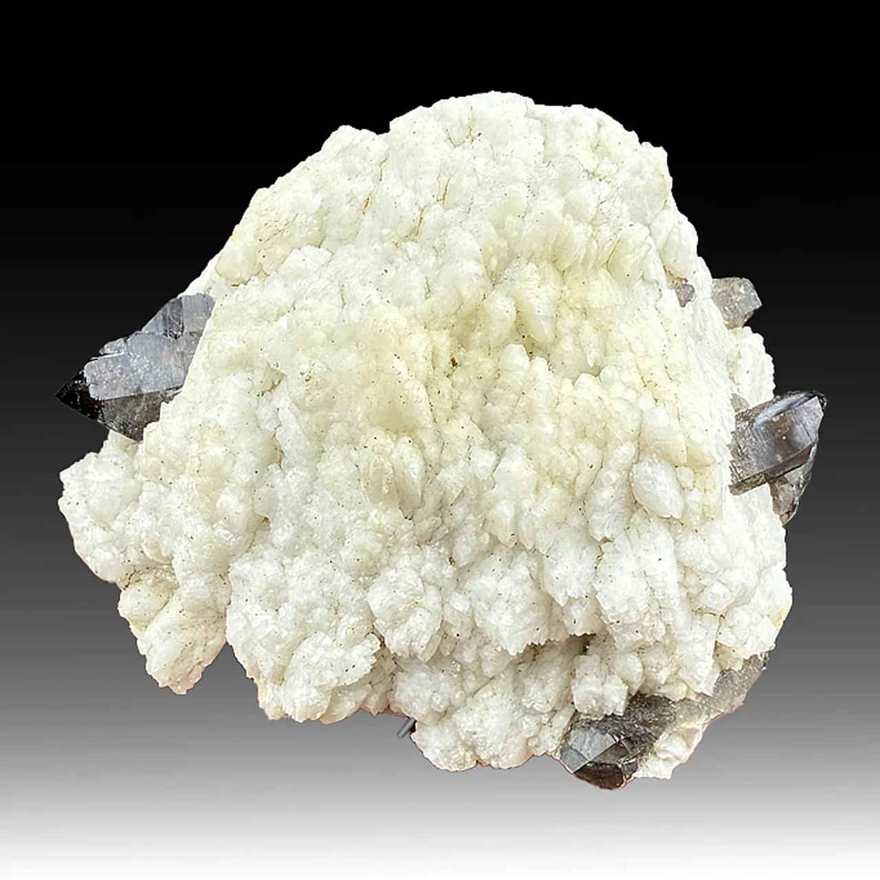 Albite with Quartz (1626) - image 1