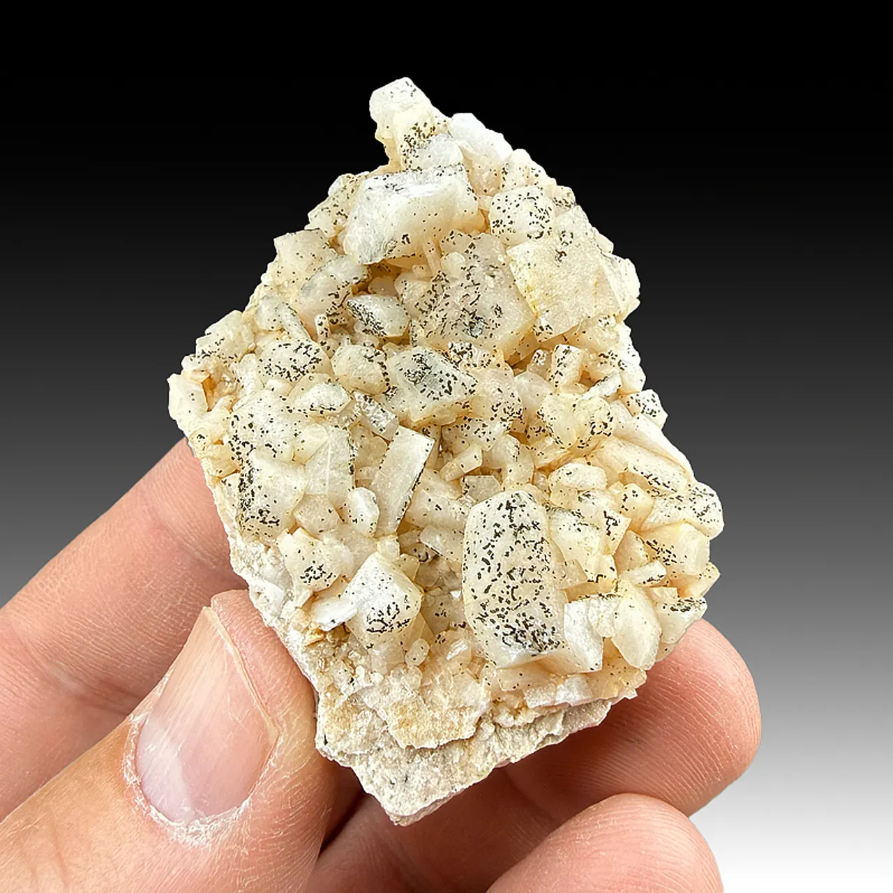 Albite with Titanite, Chlorite - image 1