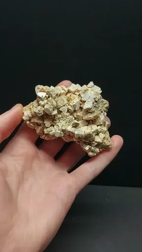 specimen video