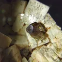Albite with Titanite from Morocco, Midelt Province, Imilchil Cercle - image 3