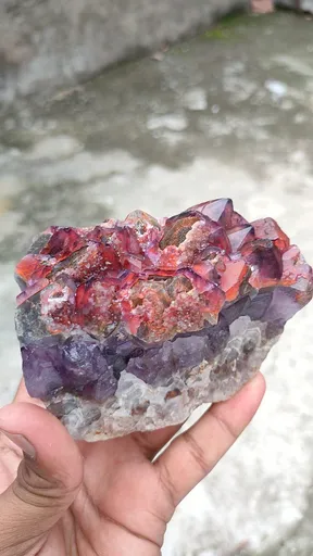 specimen video