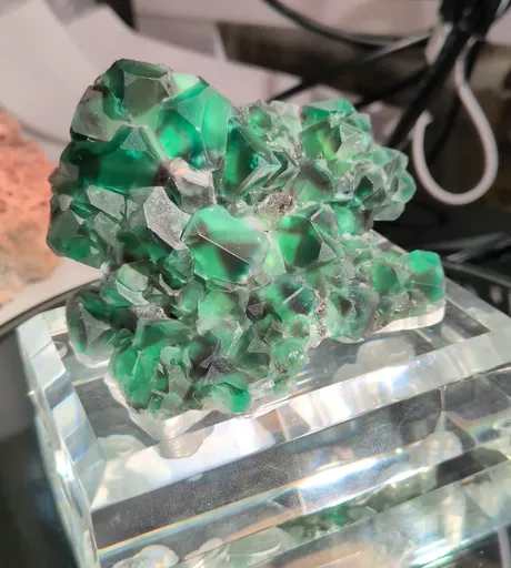 specimen video