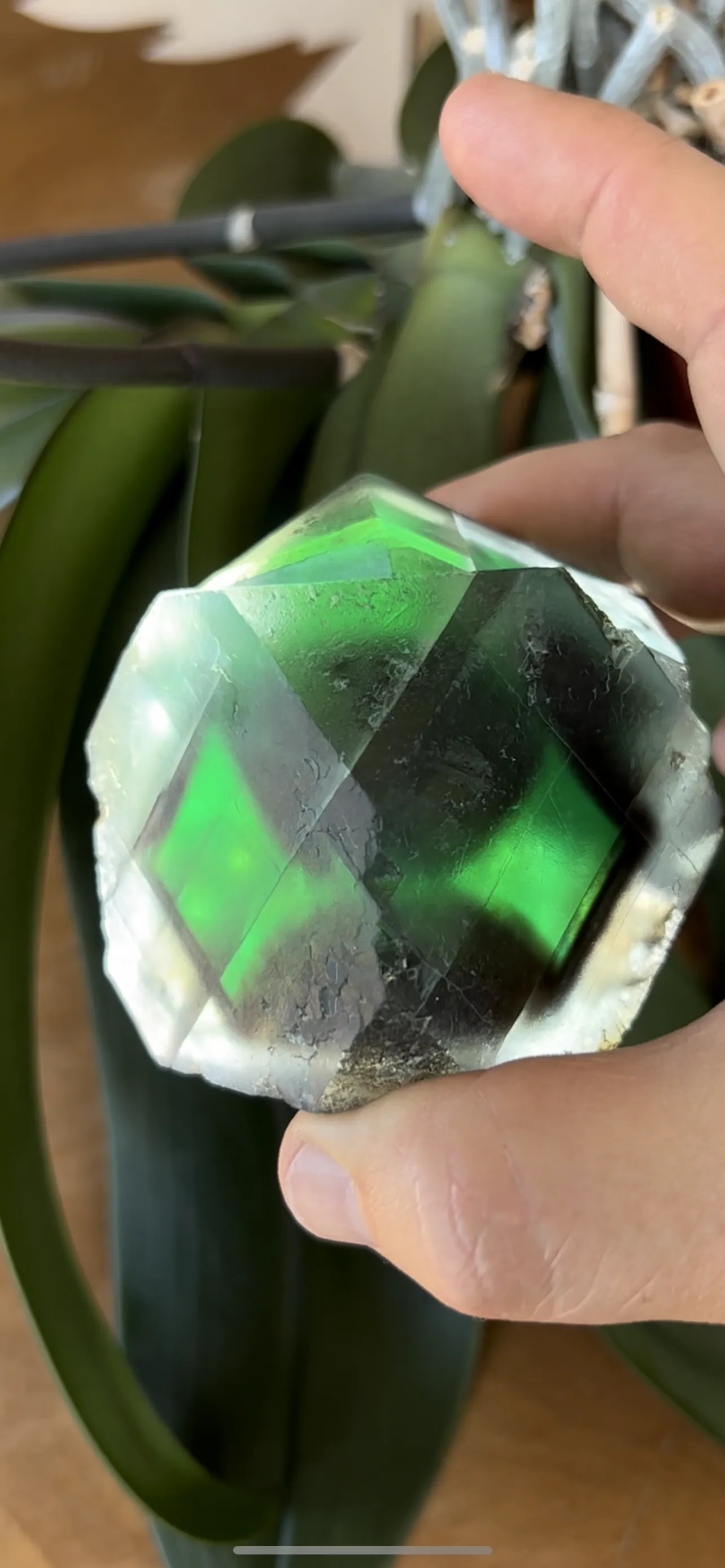 Alien Eye Fluorite - image 2