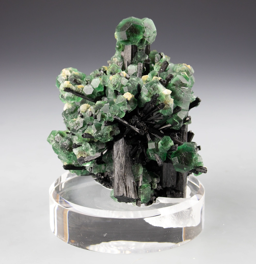 Alien-eye Fluorite, Black Tourmaline (Schorl) and Muscovite Mica image