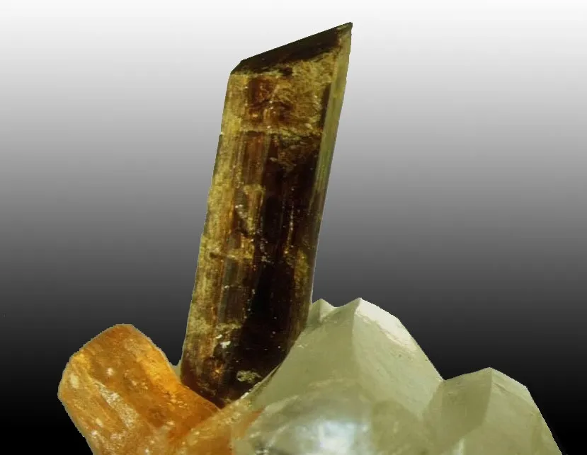 Allanite (Ce)  et ou Trimounsite (La) / Synchysite, Trimouns, Luzenac, Ariège, France image