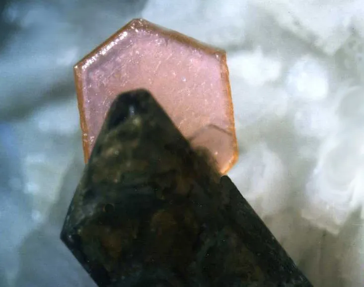 Allanite (Ce) / Hydroxylbastnäsite (Ce), Trimouns, Luzenac, Ariège, France image