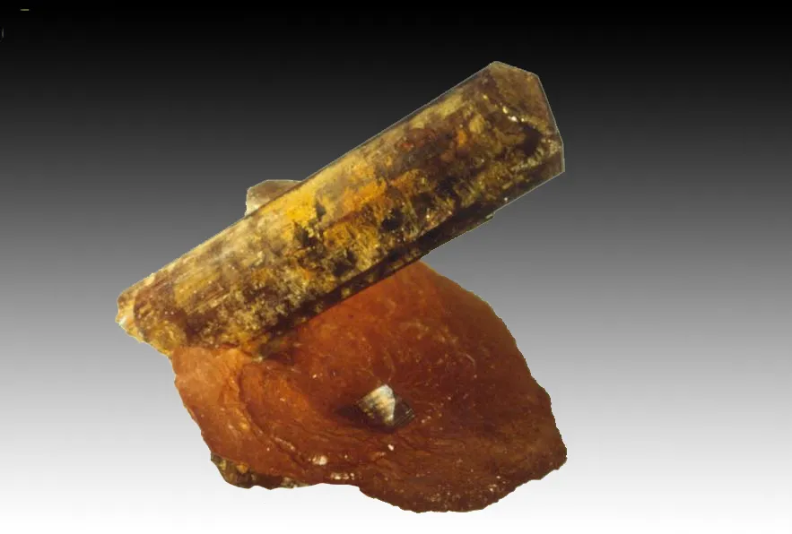 Allanite (Ce) / Hydroxylbastnäsite (Ce), Trimouns, Luzenac, Ariège, France image