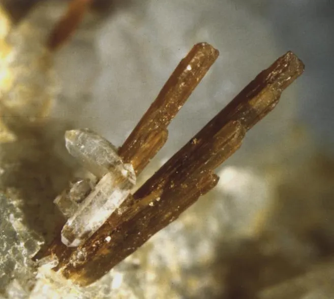 Allanite (Ce) ou Dissakisite (Ce) / Quartz, Trimouns, Luzenac, Ariège, France image