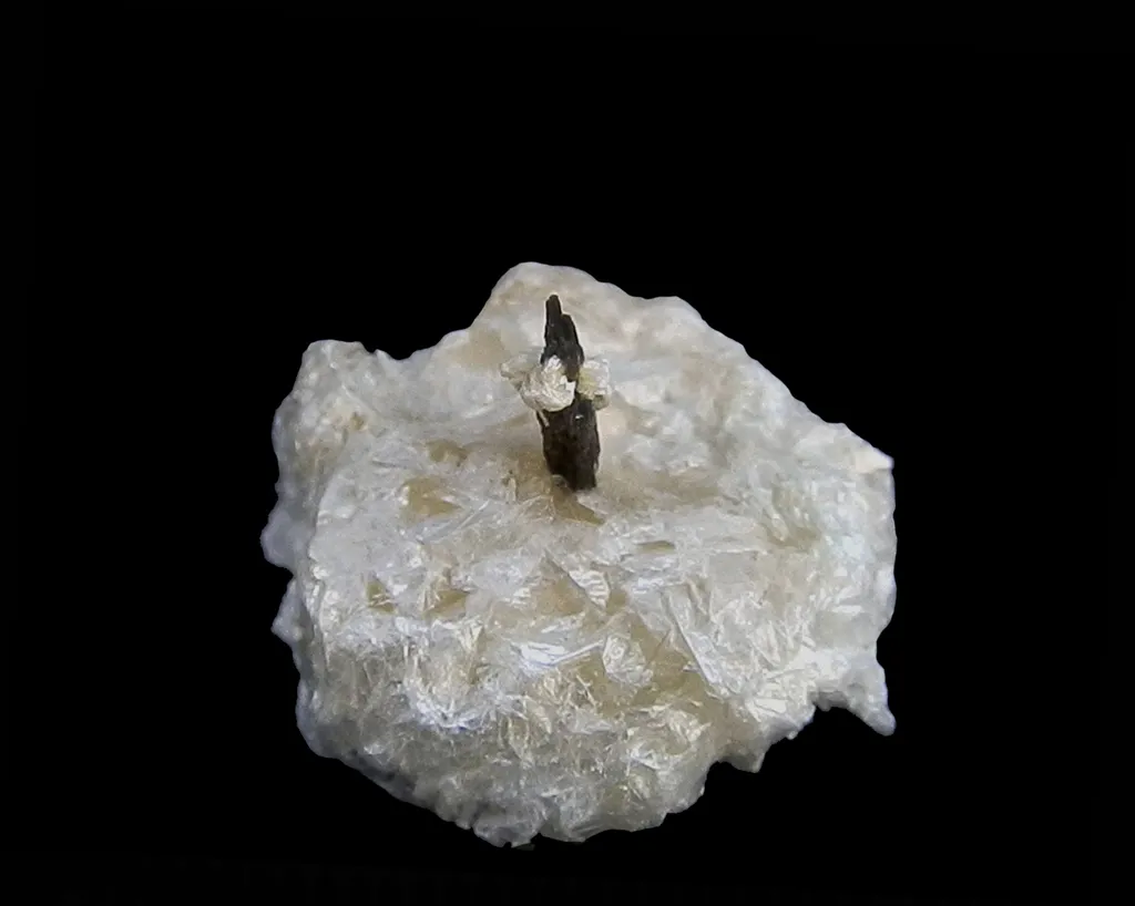 Allanite (Ce) ou dissakisite (Ce) / talc, Trimouns, Luzenac, Ariège, France image