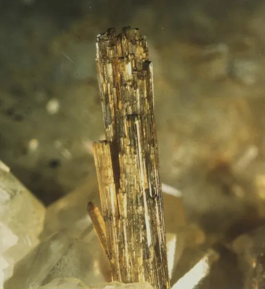 Allanite (Ce) ou Dissakisite (Ce), Trimouns, Luzenac, Ariège, France image