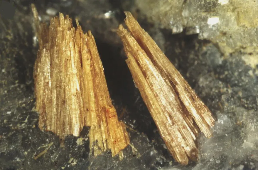 Allanite (Ce) ou Dissakisite (Ce), Trimouns, Luzenac, Ariège, France image