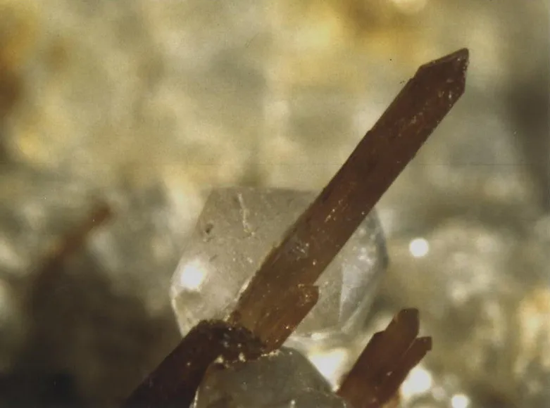 Allanite (Ce) ou Dissakisite (Ce), Trimouns, Luzenac, Ariège, France image