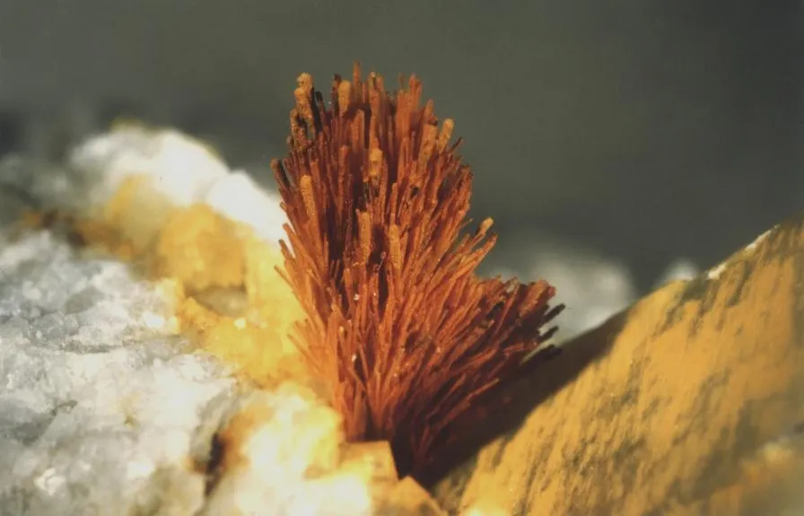 Allanite (Ce)  ou Dissakisite (Ce), Trimouns, Luzenac, Ariège, France image