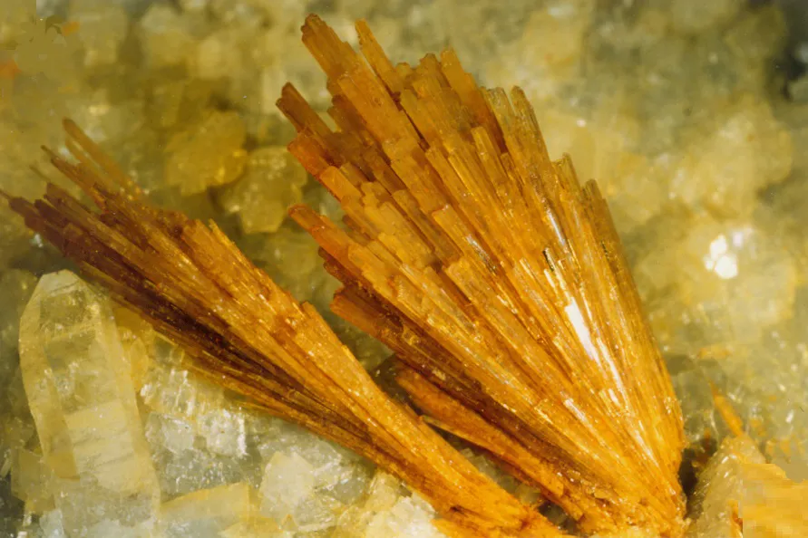 Allanite (Ce) ou Dissakisite (Ce), Trimouns, Luzenac, Ariège, France image