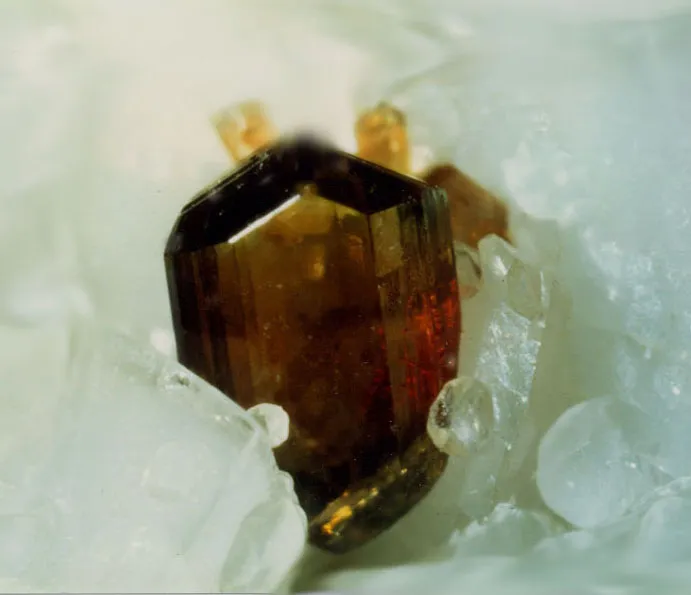 Allanite (Ce) ou dissakisite (Ce), Trimouns, Luzenac, Ariège, France image