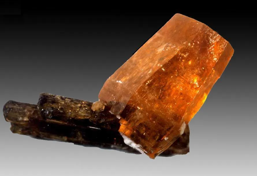 Allanite (Ce) / Synchysite (Ce), Trimouns, Luzenac, Ariège, France image