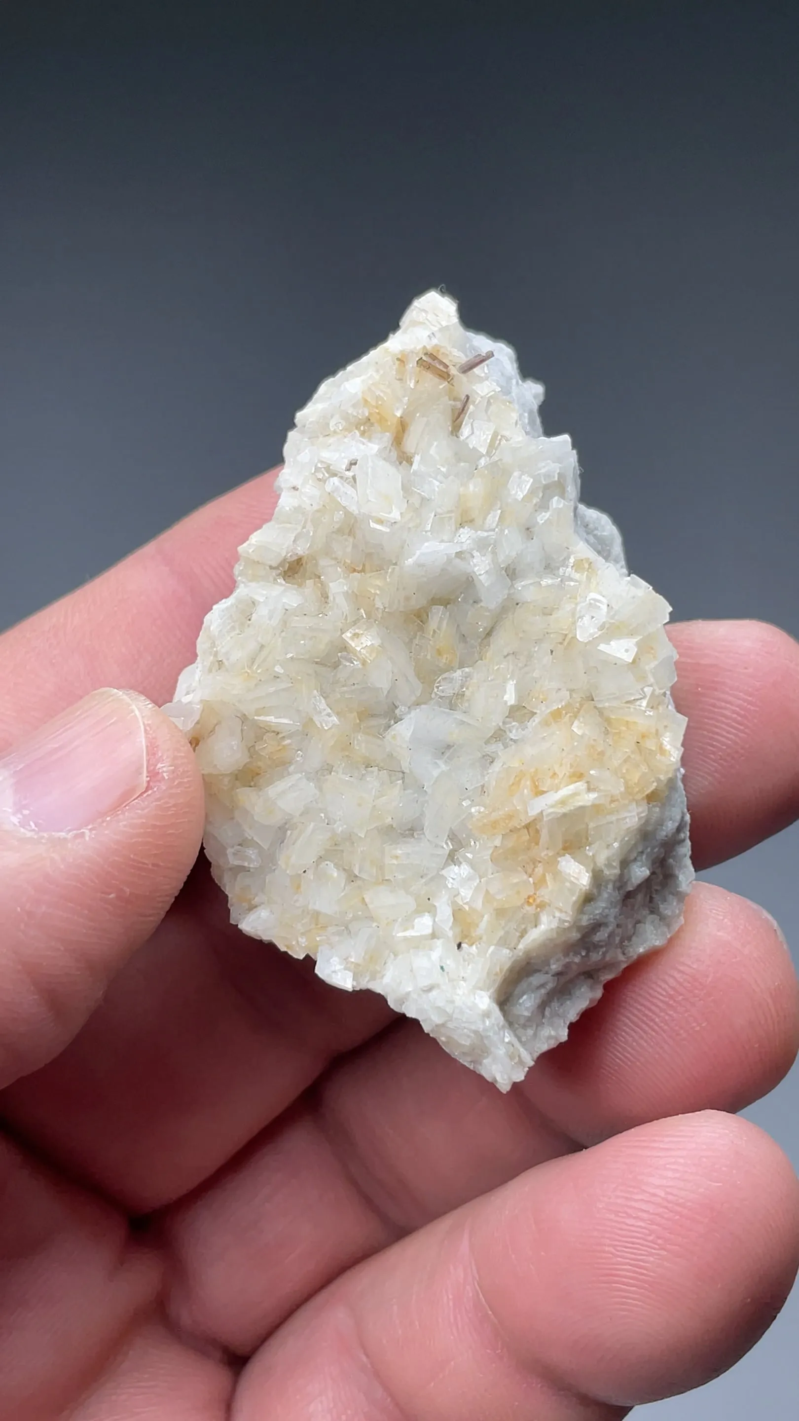 Allanite-Ce with Dolomite - image 2